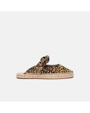 SCAROSSO Pina Leo Velvet - Brown