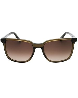 Banana Republic Grüne Sonnenbrille Mit Braunen Sf-Linsen Von