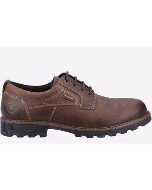 Cotswold Tadwick Herren Dunkelbraune Schnürschuhe