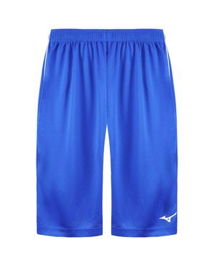 Mizuno Authentic Bb Herren Blaue Shorts