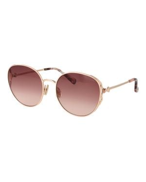 Ted Baker Sonnenbrille Tb1775 401 58 - Pink