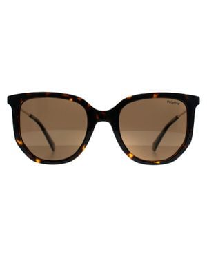 Polaroid Pld 4185/S/X 086 Sp Havanna Bronze Polarisierte Sonnenbrille - Braun