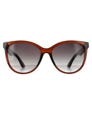 Smarty Rund Damen Transparent Grau Sb2312 - Braun