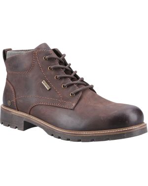 Cotswold Moreton Herren Leder Stiefeletten - Braun