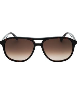 Banana Republic Braune Havanna-Sonnenbrille Mit Sf-Linsen Von
