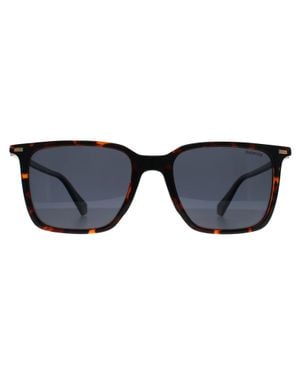 Polaroid Pld 4183/S/X 086 C3 Havanna Blau Polarisierte Sonnenbrille