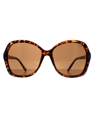 Atum Aelius C2 Glã¤Nzende Havannabraune Sonnenbrille Mit Farbverlauf