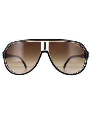 Carrera Aviator Herren Braun Gradient 1057/S