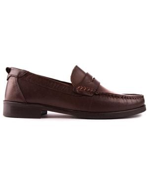 Ted Baker Alffie Schuhe - Braun