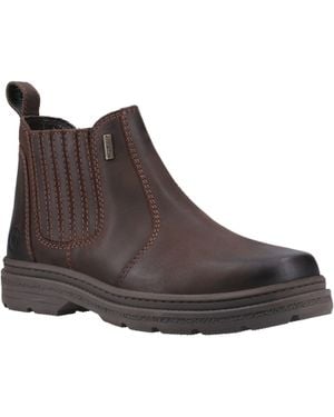 Cotswold Bisley Leder Herren Chelsea Boots - Braun