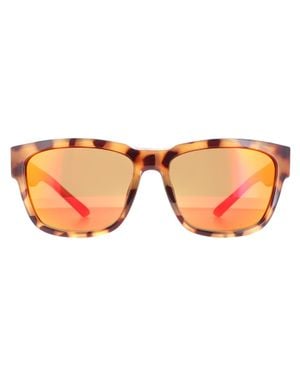 Smith Rectangle Herren Havanna Rot Rot Polarisiert Ember - Braun