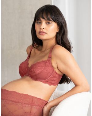 Seraphine Lace Plunge Maternity + Nursing Bra - Natural
