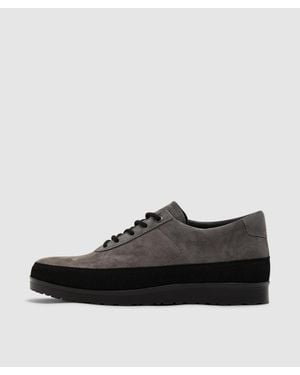 Tarvas Explorer Suede Sneaker - Black