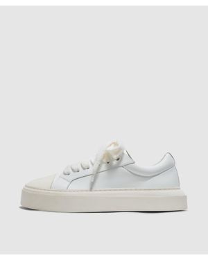 Cole Buxton Wilson Court Trainer - White