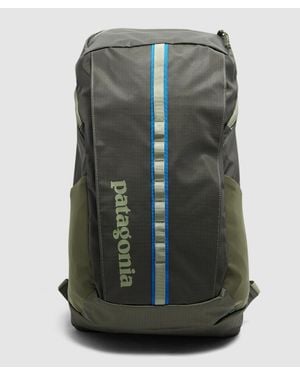 Patagonia Hole 25L Backpack - Green
