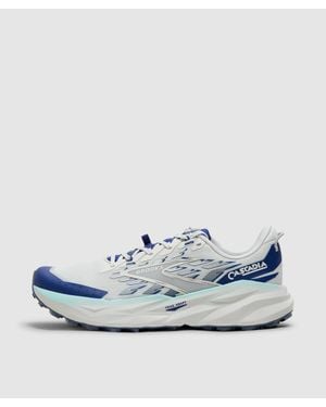 Brooks Cascadia 19 Trainer /Bellwether - Blue