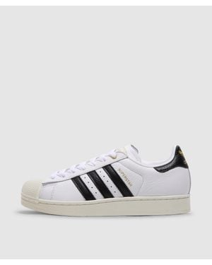 adidas Superstar Ii Trainer (Ftwr/Core/Off - White
