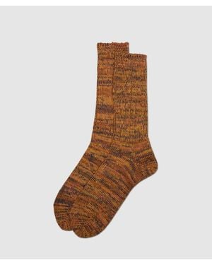 Anonymous Ism 5 Colour Mix Crew Sock - Brown