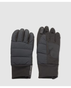 Canada Goose Puffer Gloves - Black