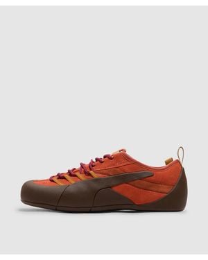 PUMA Klim Trainer (Apple Cider-Chestnut - Brown