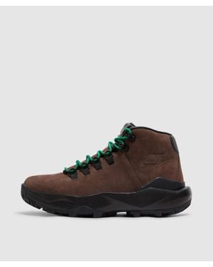 Nike Acg Cygnal Boot - Brown