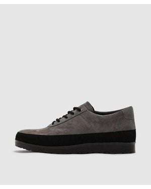 Tarvas Explorer Suede Trainer - Black