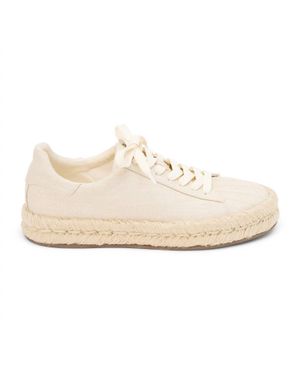 Matisse Wallis Lace Up Sneakers - White