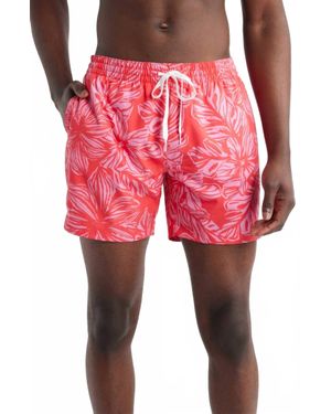 Chubbies Swim Trunks - Red