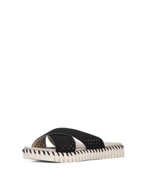 Ilse Jacobsen Tulip Criss-Cross Sandal - Black