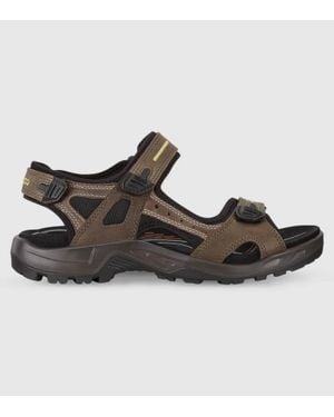 Ecco Offroad Sandal - Brown