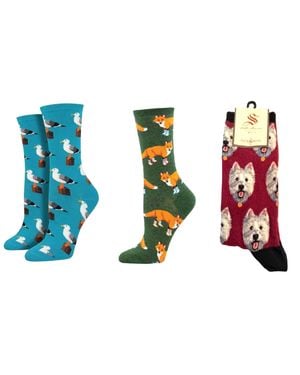 Socksmith Gull-Able & Socksy Foxes & Westies Socks - Black