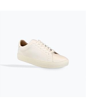 Frye Astor Low Lace Sneaker - White
