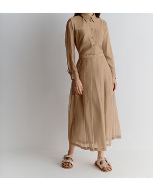 Marella Cubano - Brown