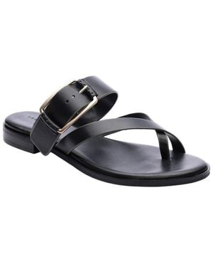 Sanctuary Spring Flip Flop - Black