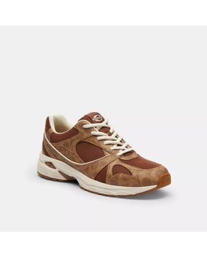 COACH Sport Sneaker - Brown