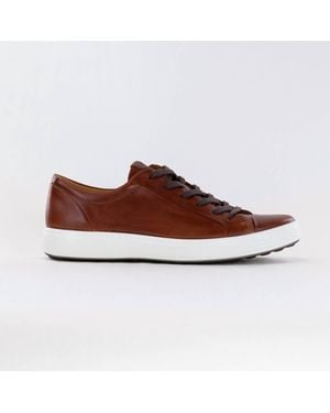 Ecco Soft 7 City Sneaker - Brown