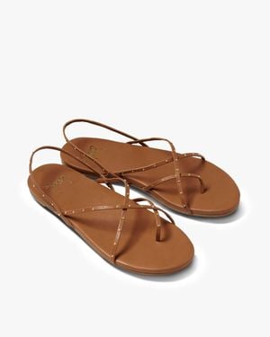 Beek Palila Leather Sandal - Brown