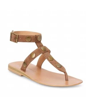 Matisse Alexis Thong Sandal - Brown