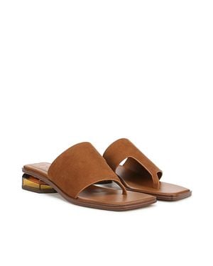 Sarto A-Jimena Flip-Flop Sandals - Brown