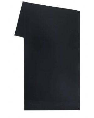 Casa Clara Tahlia Chiffon Scarf - Black