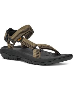 Teva Hurricane Xlt2 Sandals - Brown