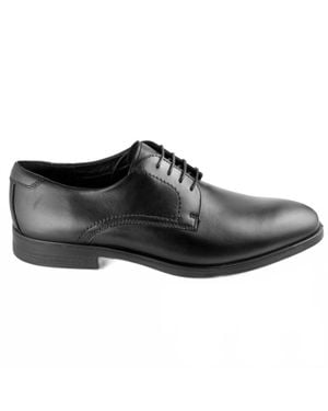 Ecco Melbourne Plain Toe Tie Oxford - Black