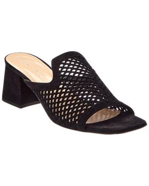 Baldini Suede Sandal - Black