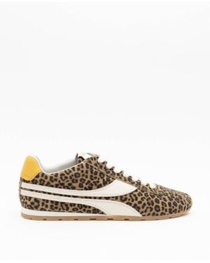 ONCEPT Essex Empire Suede Sneaker - Brown