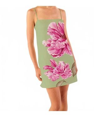 MISA Los Angles Maxine Mini Dress - Pink