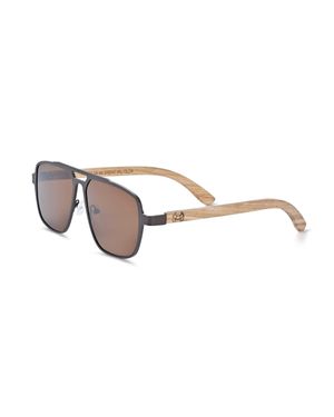Earth Wood Avila Polarized Sunglasses - Metallic