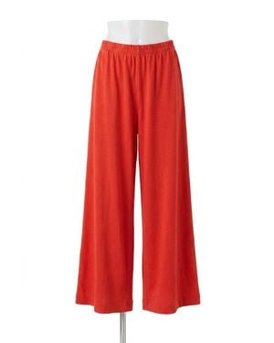 Z Supply Scout Jersey Cropped Flare Pant - Red