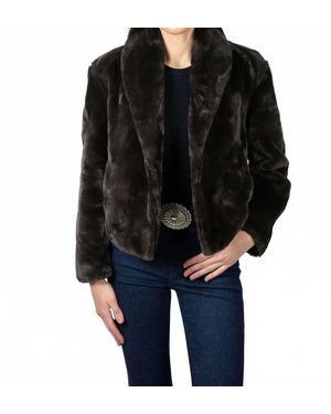 Angel Wings by Lucy The Bear Den Crop Jacket - Black