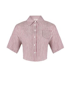 Pcfg Free Heaven Striped Crop Shirt - Red