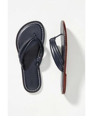 Bernardo Miami Sandals - Blue